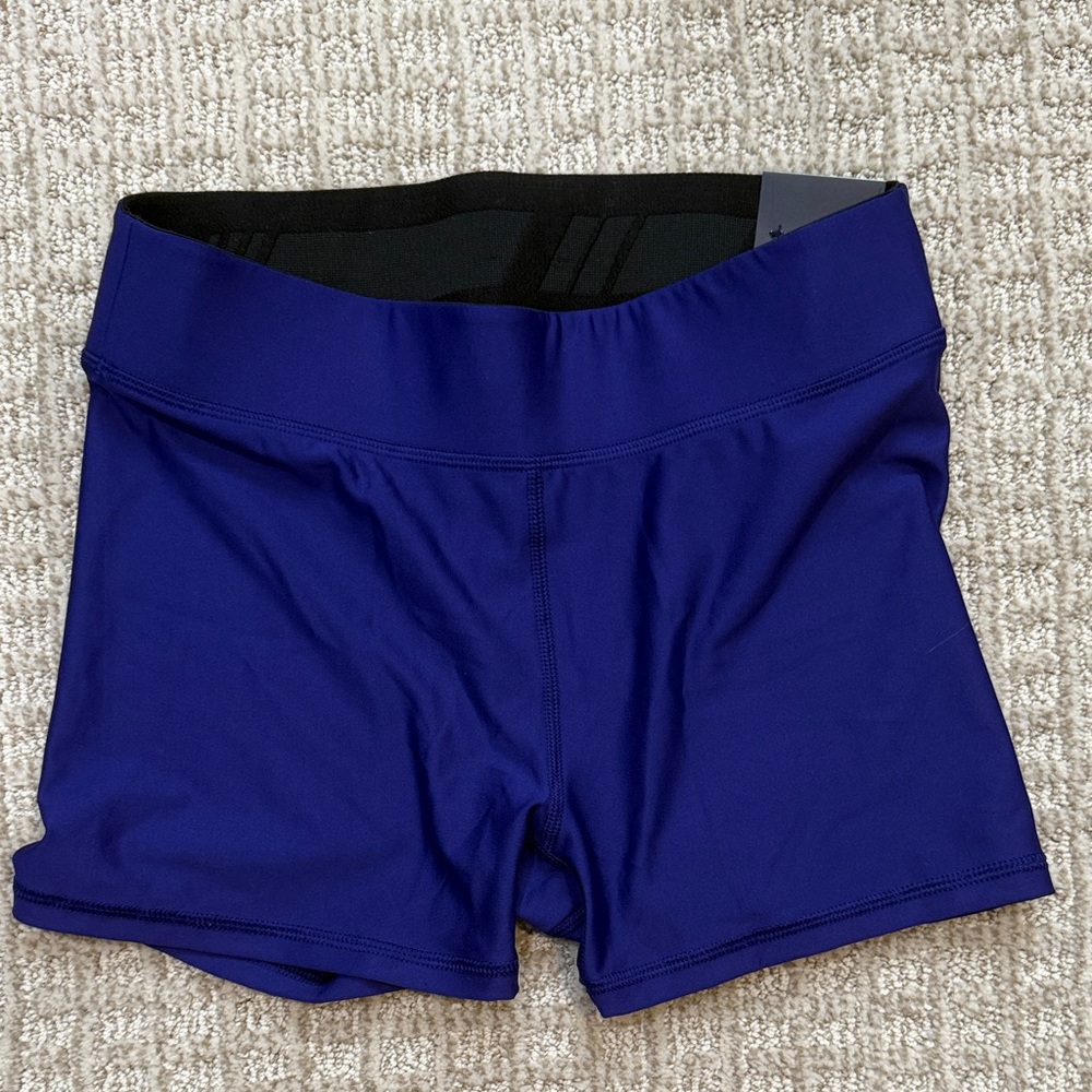 DSG Women's Purple Bike Shorts